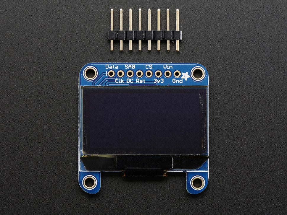 Oled Example Image Monochrome 1.3