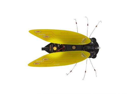 Electronic Cicada Solder Kit