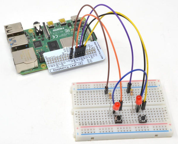 Raspberry Pi box 1 example connected to breadboard with LEDs, resistors, and buttons